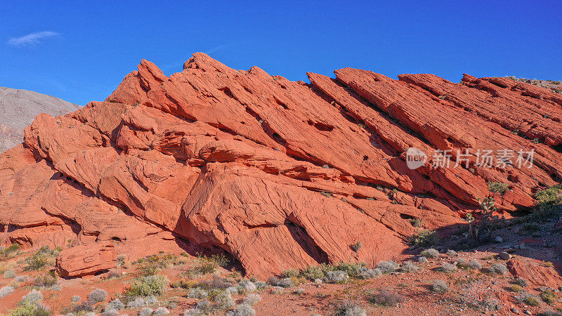 红砂岩组在惠特尼坦克，金Butte NM，内华达州